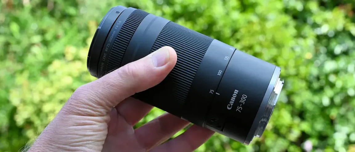 2026年版】Canon RF75-300mm F4-5.6レビュー比較まとめ 軽量・低価格の